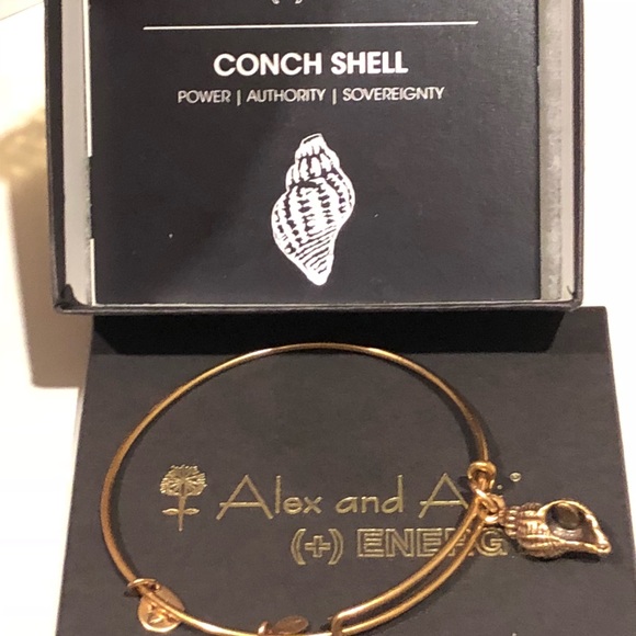 Alex and Ani Jewelry - 🌟New Alex and Ani charming bangle NWOT🌟